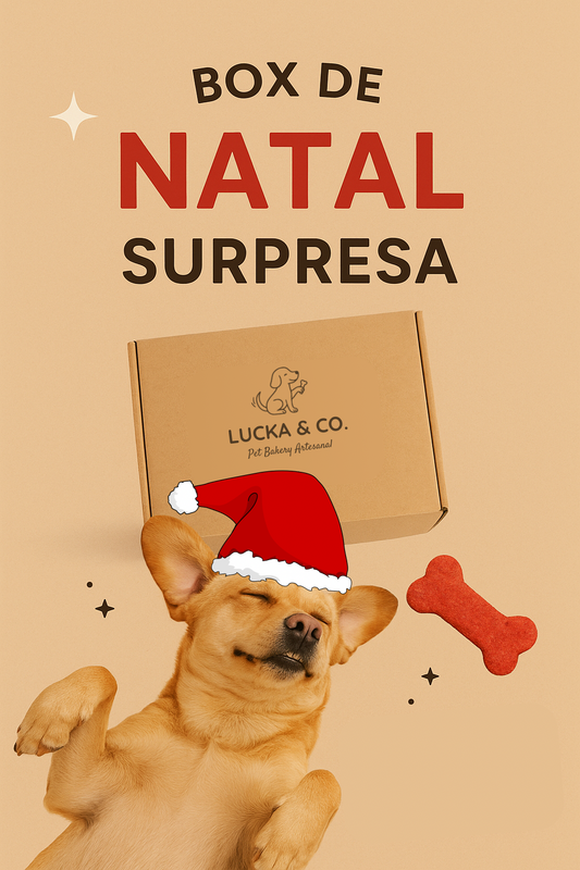 Box de Natal Surpresa